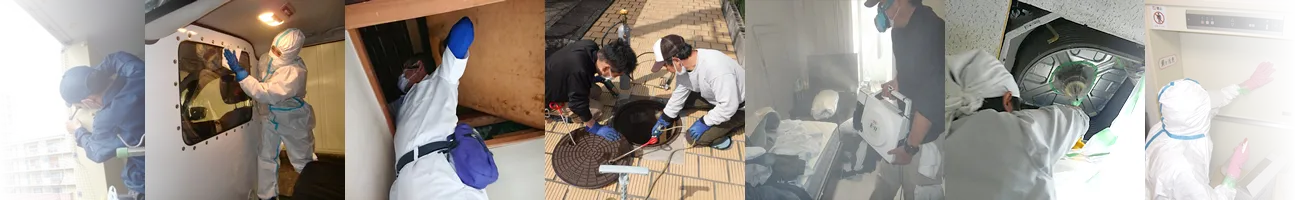 兵庫が本社の害虫駆除業者