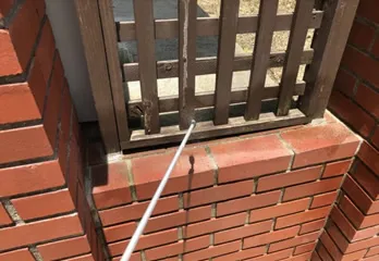 川西市個人宅のルリアリ駆除の事例