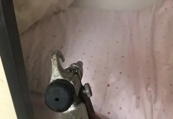 川西市ダニ駆除のケース