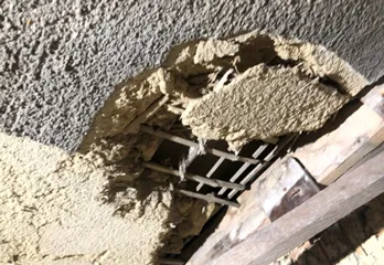 川西市のイタチ駆除の事例