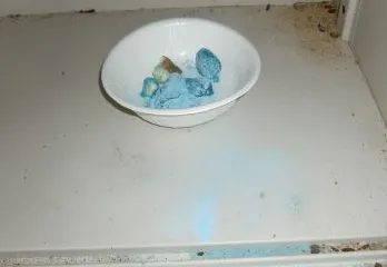川西市のネズミ駆除の事例