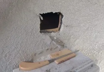 川西市のイタチ駆除のケース