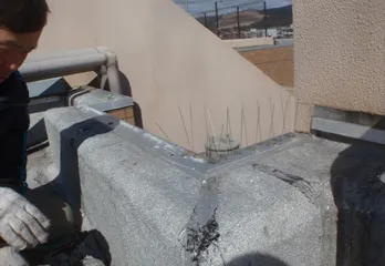 神戸市北区ハト駆除の事例