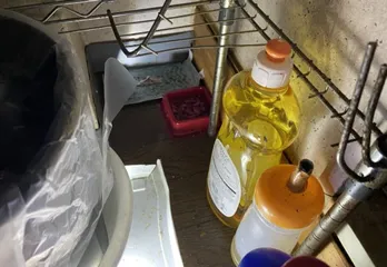 西宮市のネズミ駆除の事例