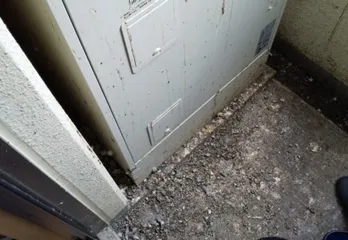 西宮市ハト駆除の事例