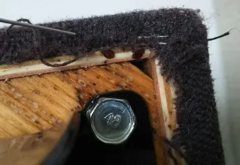 堺市堺区トコジラミ駆除の事例