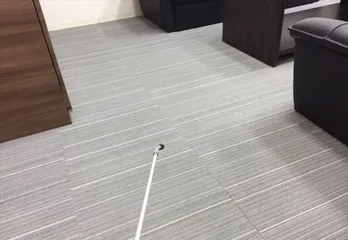 堺市堺区のノミ駆除の事例