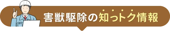 害獣駆除の知っトク情報