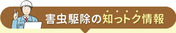 ゴキブリ駆除の知っトク情報