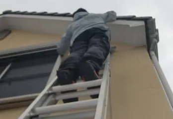 西宮市のコウモリ駆除のケース