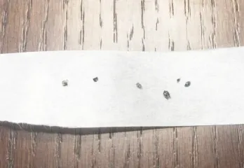西宮市カツオブシムシ駆除のケース