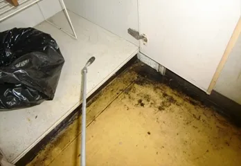 西宮市ゴキブリ駆除のケース