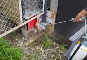奈良市店舗のノミ駆除の事例