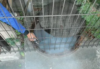 奈良市ゴキブリ駆除のケース
