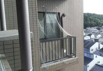 奈良市のハト駆除の事例