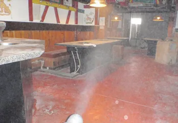 大阪市のノミ対策・駆除の事例