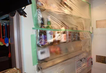 大阪市北区のノミ対策・駆除の事例