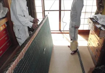 大阪市ダニ駆除のケース