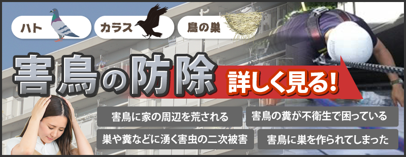 害鳥の駆除を詳しく見る