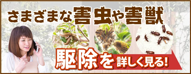 その他害虫・害獣駆除を詳しく見る
