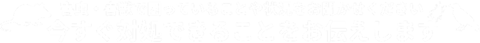 害虫・害獣で困っていることや状況をお聞かせください今すぐ対処できることをお伝えします!