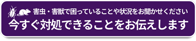 害虫・害獣で困っていることや状況をお聞かせください今すぐ対処できることをお伝えします!