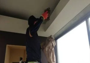 大阪市福島区・マンションムクドリ駆除