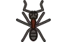 蟻