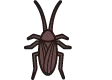 ゴキブリ