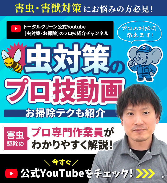 虫対策のプロ技動画