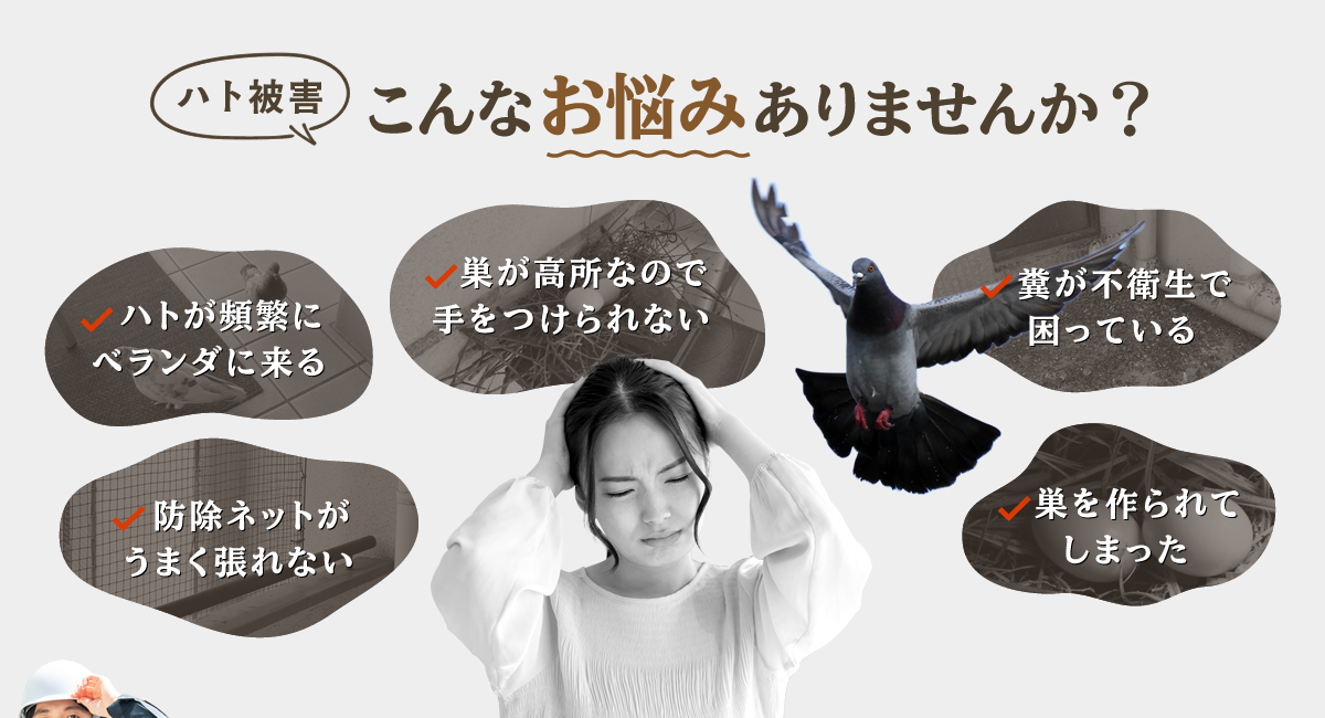ハト被害こんなお悩みありませんか?