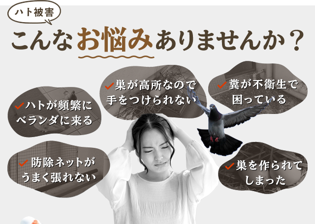 ハト被害こんなお悩みありませんか?