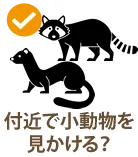 付近で小動物をみかける?
