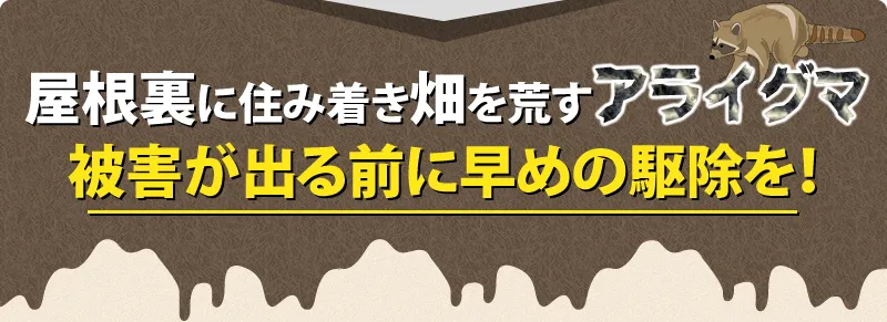 アライグマの被害が出たら早めの駆除を！