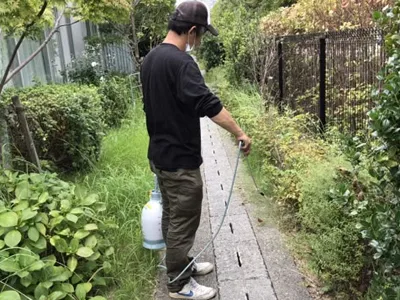 庭の大量のアリ駆除