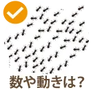 アリの数や動きは?