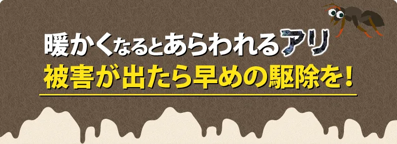 アリの被害が出たら早めの駆除を！