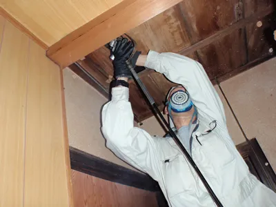 会社や事務所のダニ駆除