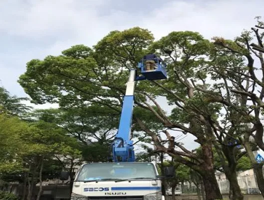 京都市上京区害鳥駆除