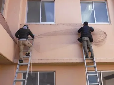 学校の害鳥防除作業