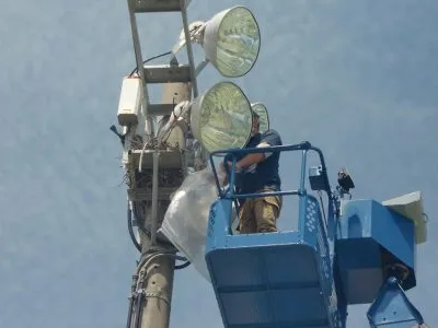 球場施設の害鳥の巣撤去作業