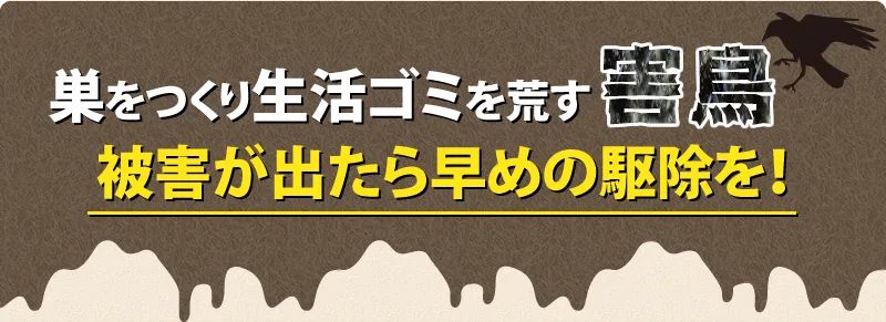 害鳥の被害が出たら早めの駆除を!