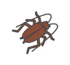 チャバネゴキブリ