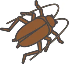 ワモンゴキブリ