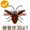 被害状況は?