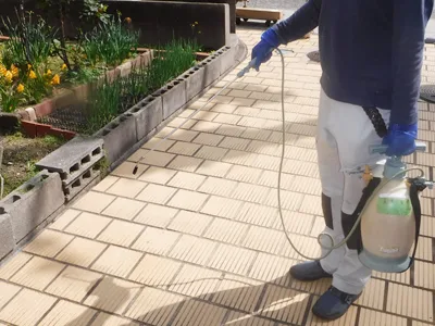 庭のゴキブリ駆除