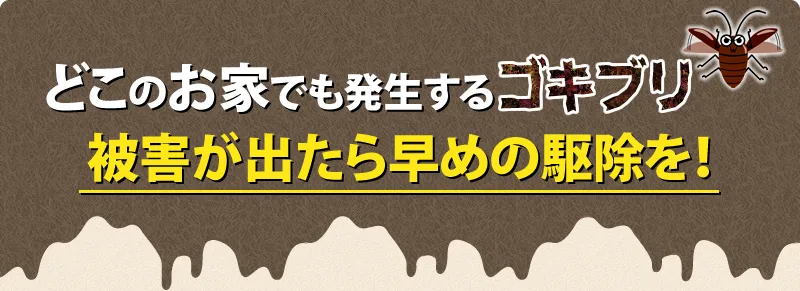 ゴキブリの被害が出たら早めの駆除を!