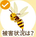 被害状況は?