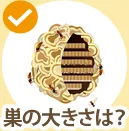 巣の大きさは?