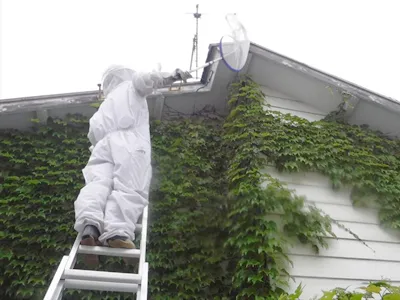 施設の蜂の巣駆除